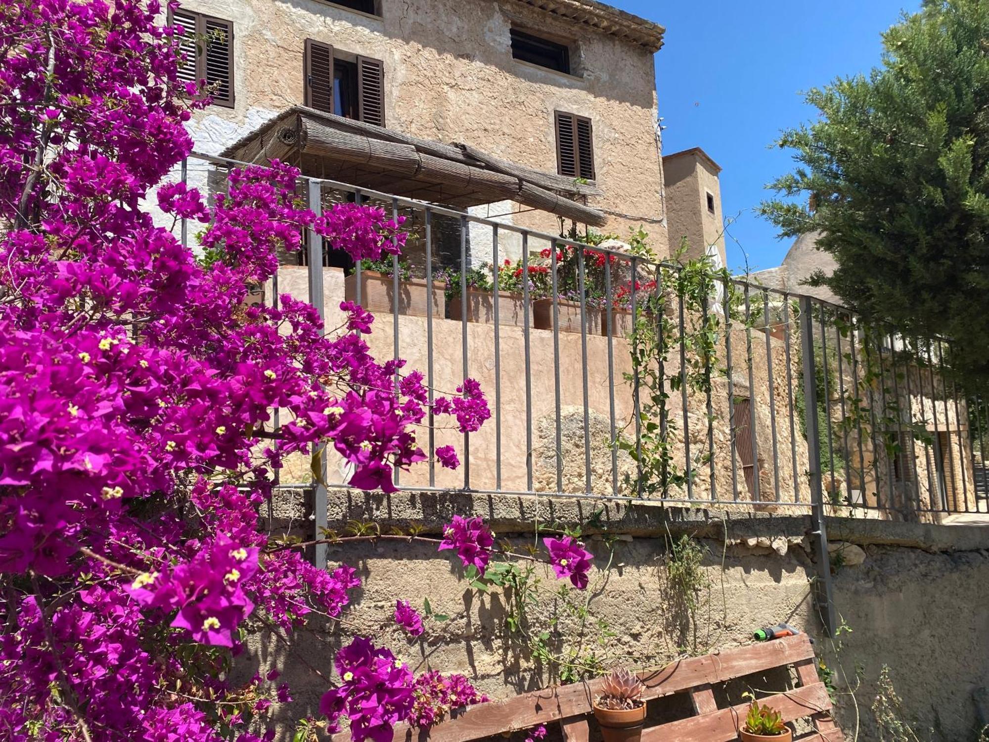 Casa de pueblo de 4 habitaciones con jardín a 10minutos de la playa en coche Taronja&Canyella Ardenya Exterior foto